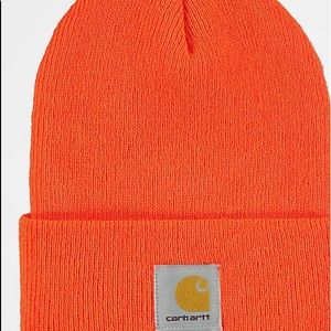 Carhartt adult beanie